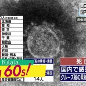 Số ca nhiễm virus Corona tại Nhật đã hơn 1.000 người